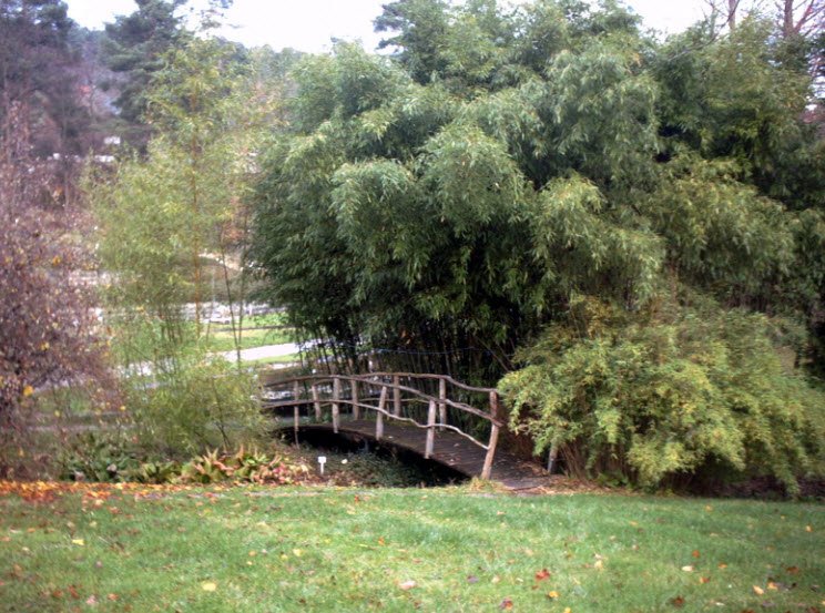 Alter Botanischer Garten Tübingen, Germany
